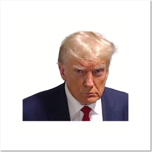 Donald Trump Mugshot 2023 No Background Posters and Art